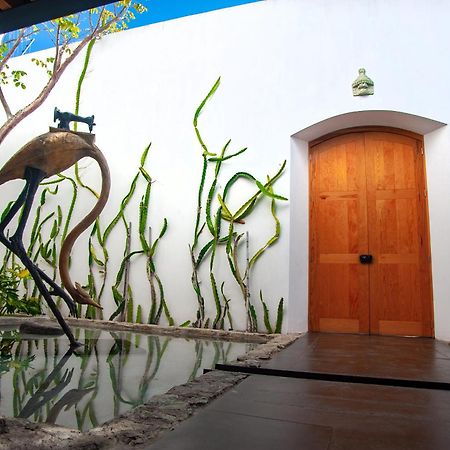 Casa Carmen Xolotl Otel Oaxaca Dış mekan fotoğraf