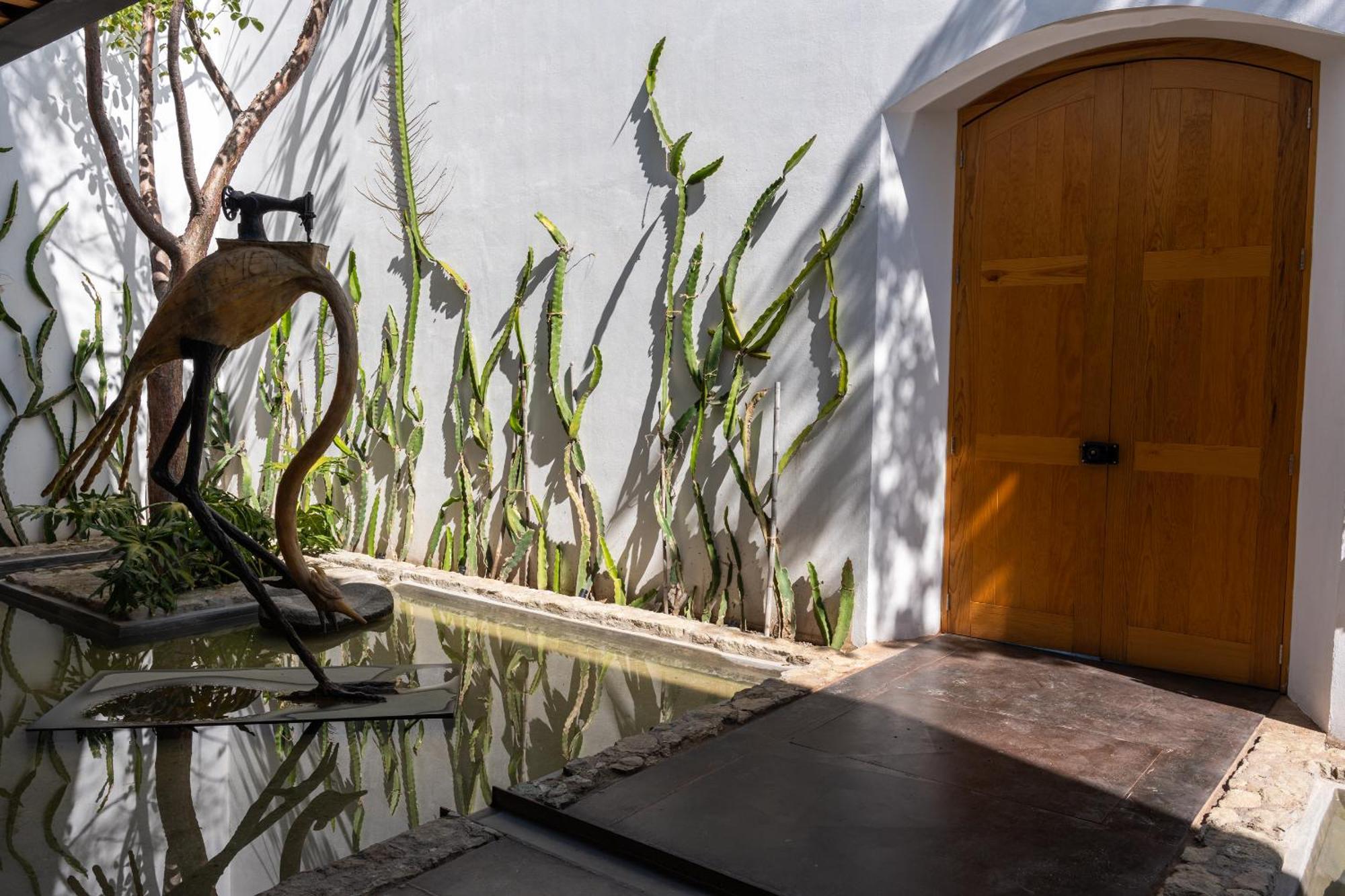 Casa Carmen Xolotl Otel Oaxaca Dış mekan fotoğraf